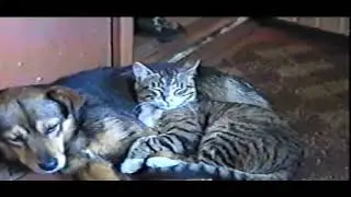 Необычная семейка)🙂
