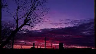 absurd - стажёр