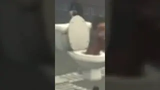 skibidi toilet 