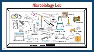 A tour of Microbiology Lab (for Freshers)