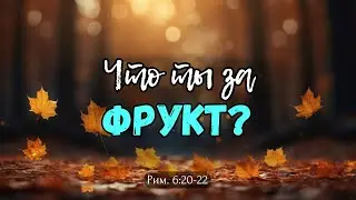 Что ты за фрукт? | Руслан Мартынов (27.10.24)