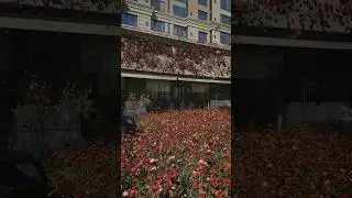#blender3d #vfx #aftereffects #cgi #butterfly #flowers