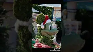 Цветы для прекрасных женщин. Видео для дам. Красота природы