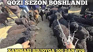 QUZ SEZON BOSHLANDI SAMARQAND PASTDARGOM JUMA QUY BOZORI YANGI NARXLARI UTKIR UZ