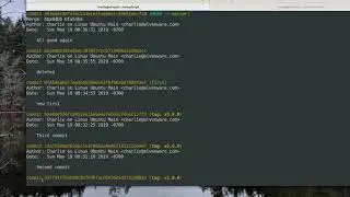 git commit to rollback