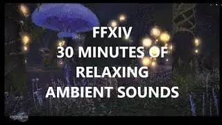 Ambient Sounds of FFXIV: 30 Minutes of Relaxing Music to Help You Focus