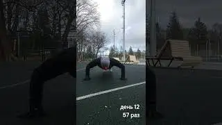57 раз 12 день отжиманий.