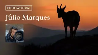 Histórias de Luz com Júlio Marques | Fotografia de Natureza