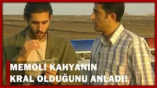 Memoli, Kahyanın Kral Olduğunu Anladı! - Yılan Hikayesi 42.Bölüm