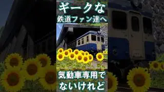 【RailSim】📦「バス窓」を装備した気動車の話📦　#Shorts