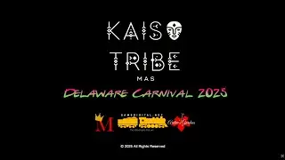 Scenes from Delaware Caribbean Carnival 2025 featuring Kaiso Tribe Mas!