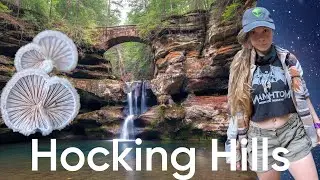 Hocking Hills | Mushrooms & Camping