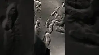 Соска 😍
