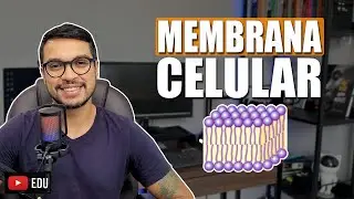 MEMBRANA CELULAR [Membranas 04]