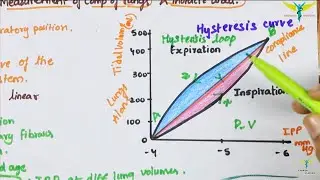 Pulmonary Compliance | lung Compliance | Physiology