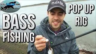 Bass Fishing with a Pop-Up Rig | TAFishing