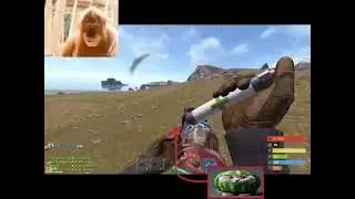 Primitive PVP in 2026 (HORRIFYING)