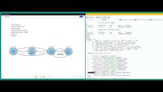 OSPF LSA explanation and illustration