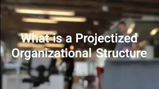 What is a Projectized Organization?
