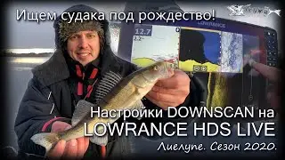Looking for pike perch for Christmas! My view on LOWRANCE HDS LIVE 12.