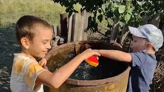 Vlog 24.08.2024 Пюре и котлеты/Выкопала картошку/Жареные грибы с луком в сметане
