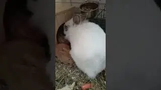 Кушать только дома.