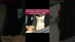 Даа, итакое тоже бывает 🙂