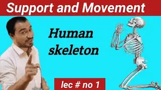 Introduction support and movement # lec No#1.#education