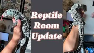 Reptile Room Update
