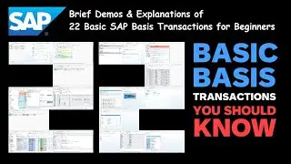 SAP: 22 Basic Basis Transactions You Should Know (For Beginners)
