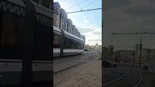 витязь-м