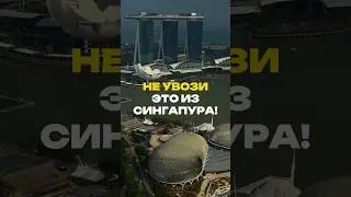 Не увози это из Сингапура!