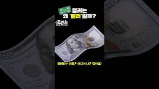 100달러를 왜 100불이라고 할까? 💵