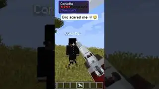 Minecraft Funny Moment #shorts
