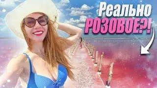 Сасык (Розовое озеро). Почему в нем не купаются?! 🚘 В КРЫМ НА МАШИНЕ ЧАСТЬ 2 🌊