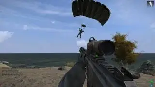 Nat Flies