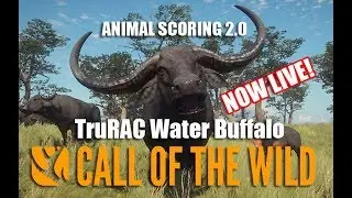 Animal Scoring 2.0 TruRACS WATER BUFFALO | The Hunter Call Of The Wild
