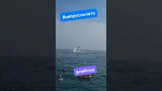 Сочи. Лето. Флайборд  пляж 