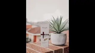👑Маска от 𝓘𝓷𝓽𝓮𝓻𝓷𝓪𝓽𝓲𝓸𝓷𝓪𝓵 𝓑𝓮𝓪𝓾𝓽𝔂 𝓦𝓱𝓸𝓵𝓮𝓼𝓪𝓵𝓮 𝓜𝓪𝓵𝓵