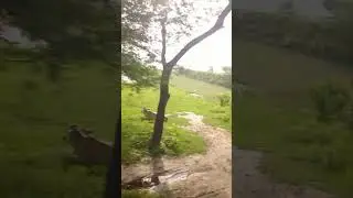 Natural Tourist Zone, Batiaghata, Khulna #Khulna #tourism #Bangladesh