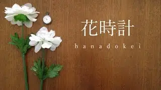 「花時計」を 歌ってみた【Seika】