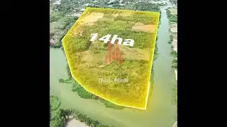 Khi người khác muốn 