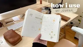 how i’m using my bullet journal ✸ a detailed flip through of my a6 stalogy