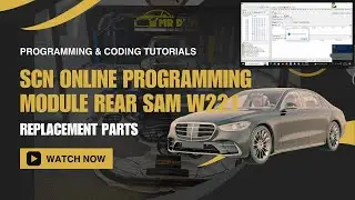 Mercedes Module Rear SAM W221 SCN Online Programming Guide