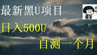 USDT搬砖日收益50000起步，非常简单的搬砖黑U网赚项目 灰产跑分跑货真实演示（真实网站测试）