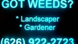 LANDSCAPING, Hesperia,  Silver Lakes, Victorville, Apple Valley, Lucerne Valley, Adelanto, High D