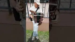 Страдания.Любительская гармонь Тульского мастера.