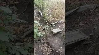 окопы войны,лето часть 6
