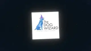 The Dog Wizard Raleigh Review Cary NC Preston 27511 919 926 9165