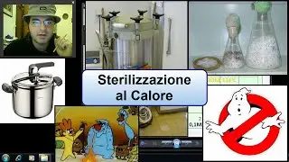 Sterilizzazione al calore umido nella coltivazione funghi, autoclave e pentola a pressione